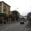 IMGP3376.JPG