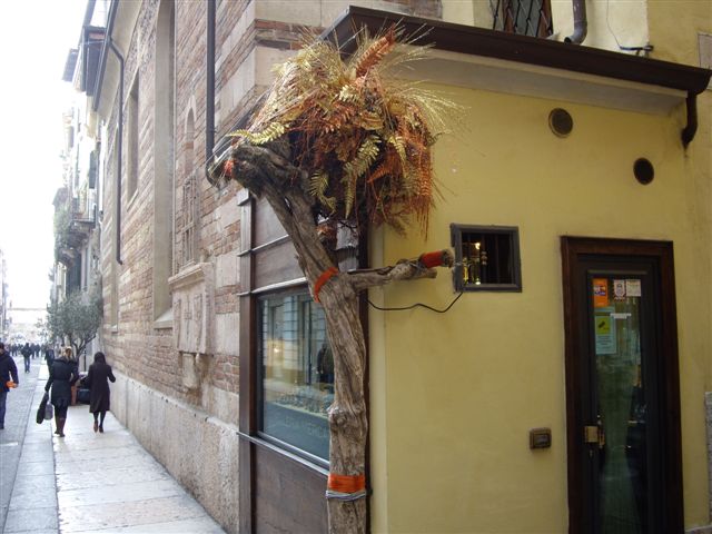 IMGP3400.JPG