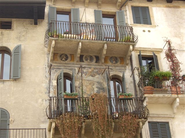 IMGP3392.JPG