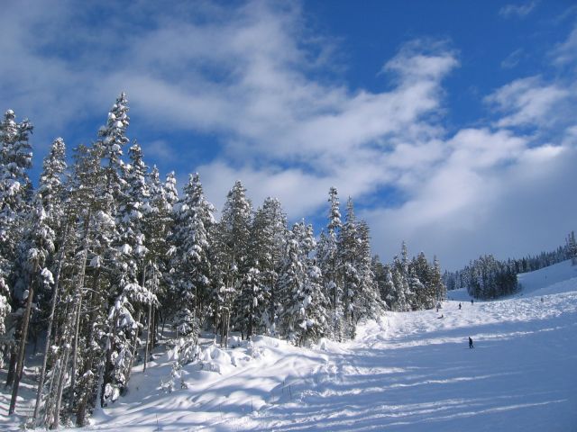 Whistler5