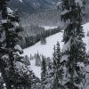2 черных ромба - 2