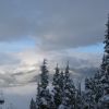 Whistler1