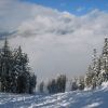 Whistler4