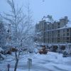 Whistler8
