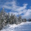Whistler5