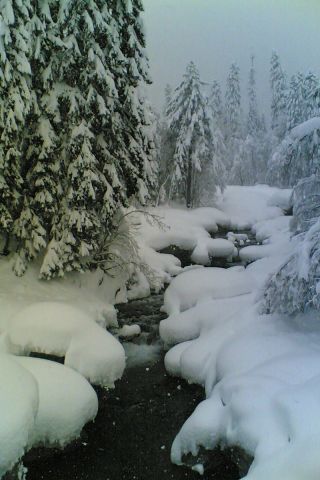 14022006(005).jpg