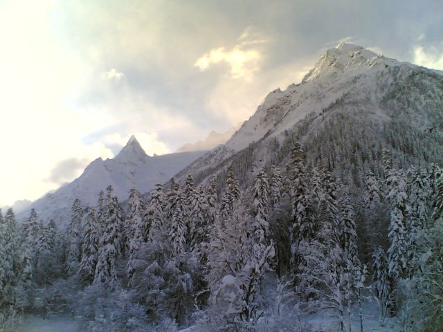 16022006.jpg