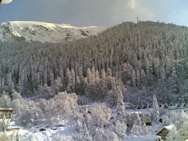 16022006(003).jpg