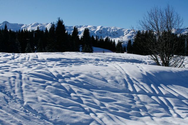 Snow.jpg