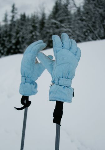 AlpineHorror_SkiGloves.jpg