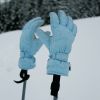 AlpineHorror_SkiGloves.jpg