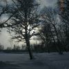 DSCN0647.JPG