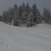 зимняя сказка началась