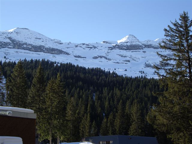 IMGP3587.JPG