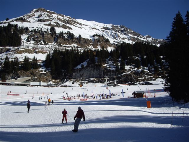 IMGP3591.JPG