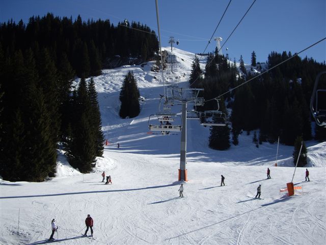 IMGP3594.JPG