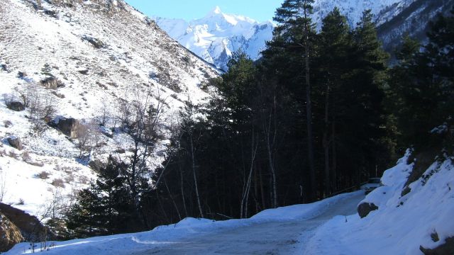 Image_97.jpg