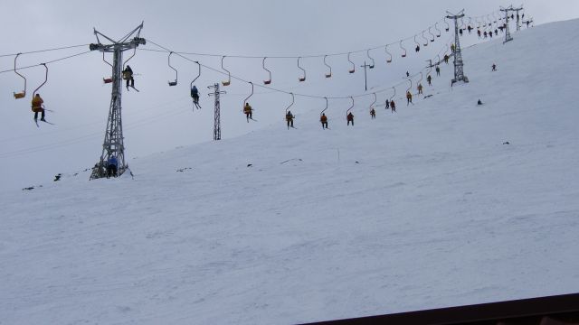 Image_195.jpg
