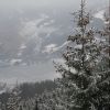 IMG_3496.JPG
