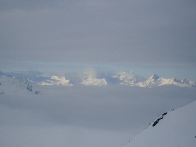 DSC02317.jpg