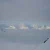 DSC02317.jpg
