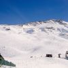 DSC02260.jpg