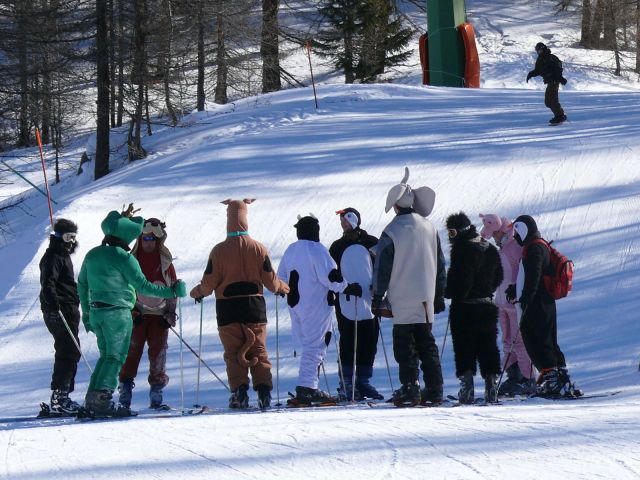 P1040747.JPG