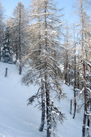 20080324_Landeck_0036.jpg
