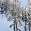 20080324_Landeck_0036.jpg