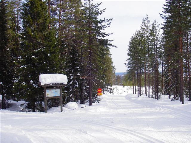 IMGP2457.JPG
