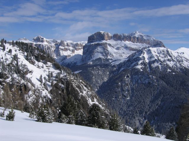 IMG_5517.jpg