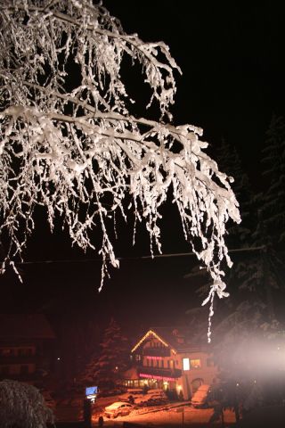 IMG_6479.jpg