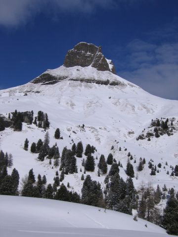 IMG_5514.jpg