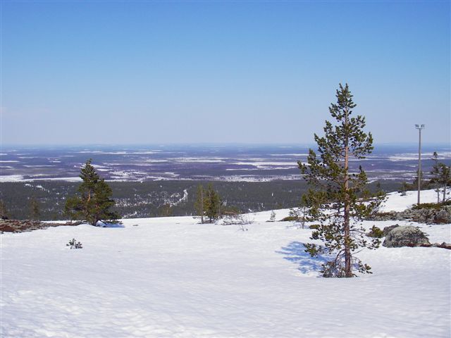 IMGP2505.JPG