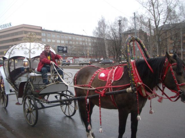 IMGP0662.JPG