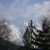 petit combin, the summit.JPG