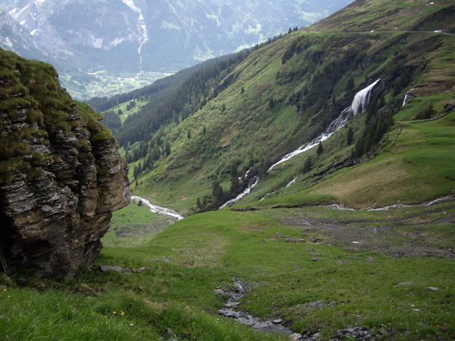 IMGP4785.JPG