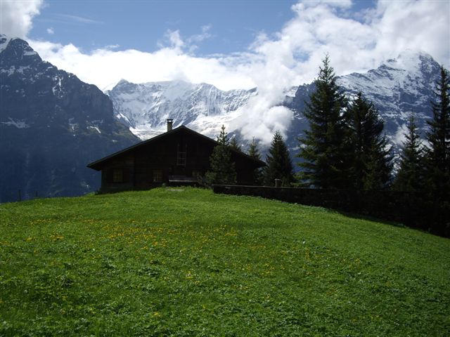 IMGP4753.JPG