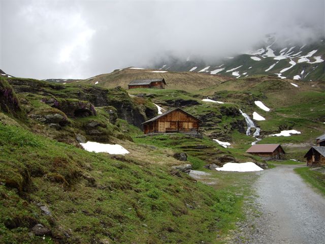 IMGP4774.JPG