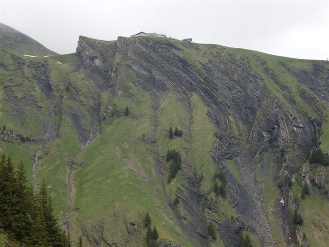 IMGP4769.JPG