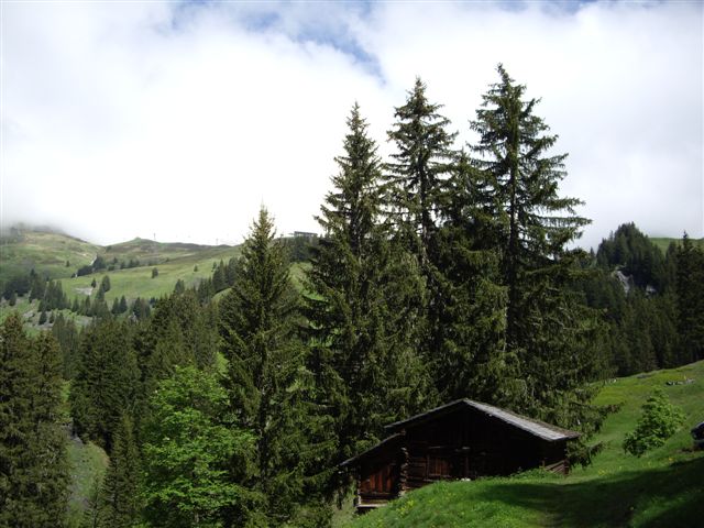 IMGP4743.JPG