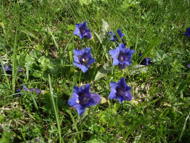 IMGP4741.JPG
