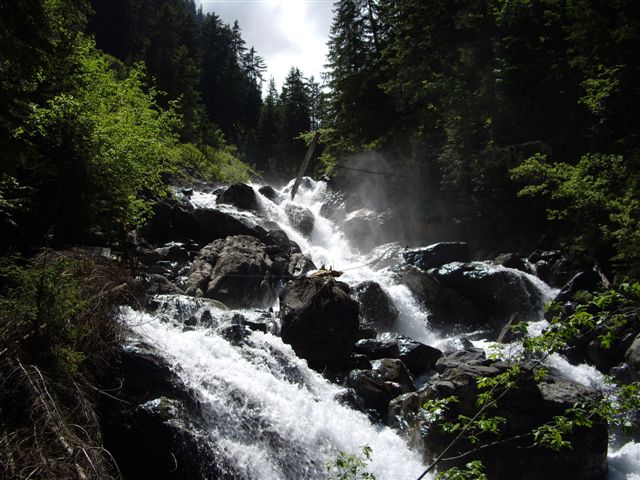 IMGP4849.JPG