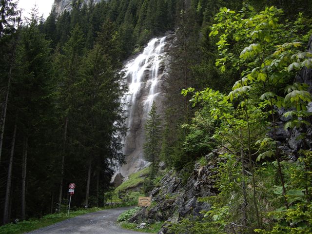 IMGP4841.JPG