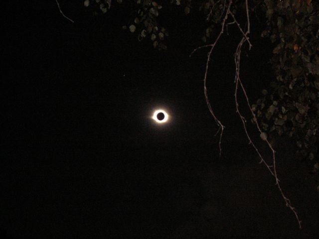 PICT4068_SM.jpg