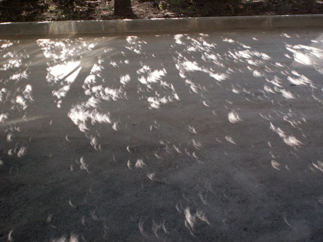 PICT4073_SM.jpg