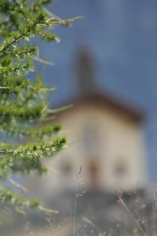 06.jpg