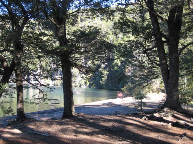 IMG_0571.JPG