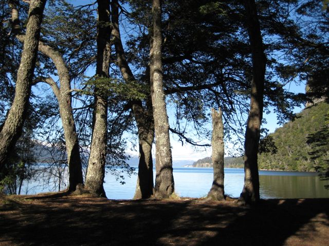 IMG_0570.JPG