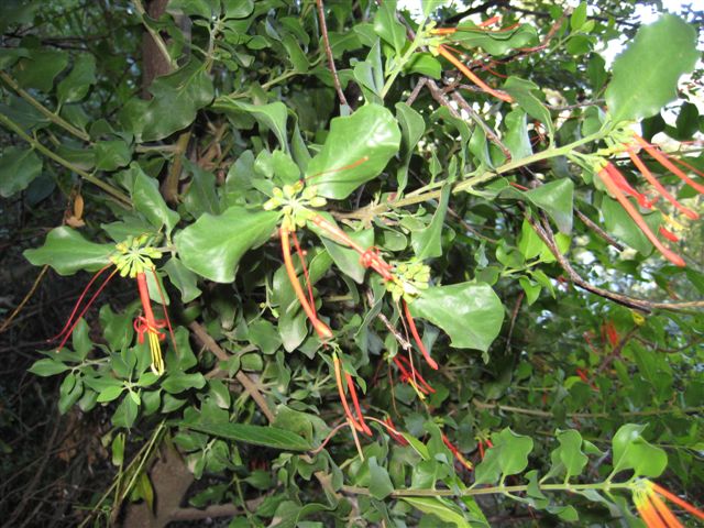 IMG_0587.JPG